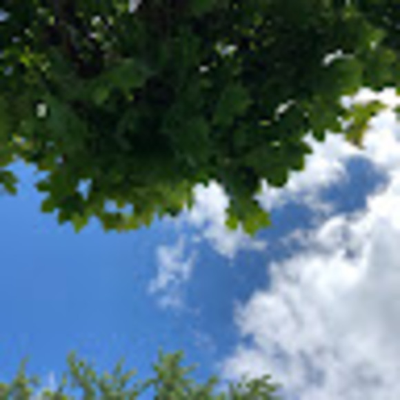 Meet your Posher, Abigail - Picture 1 of 1